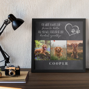 Póster Homenaje favorito de Mascota de Adios Difícil