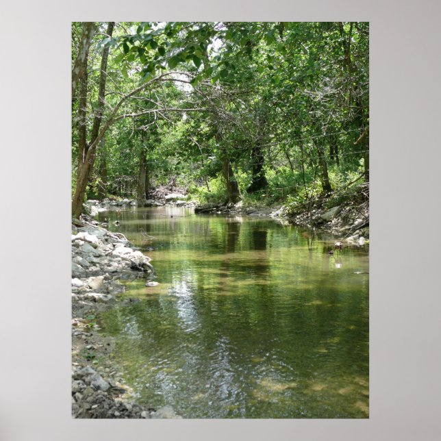 Póster Homenaje solitario (Frente)