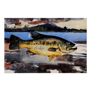 Póster Homer - Bass, fish, fine art,