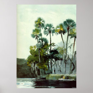 Póster Homer - Río Homosassa