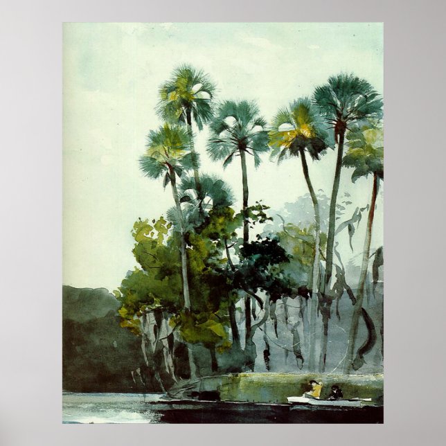 Póster Homer - Río Homosassa (Frente)