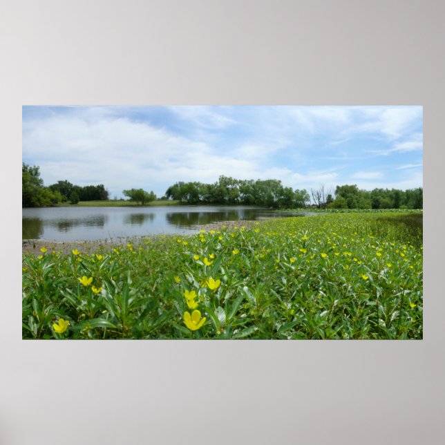 Póster Homestead Pond (Frente)