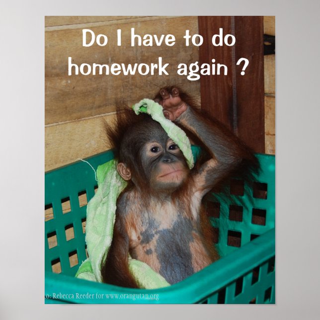 Póster Homework divertida con Baby Orangutan (Frente)