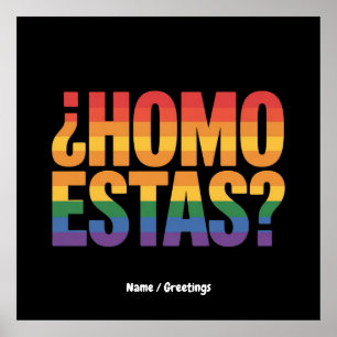 Póster Homo estás, mes de orgullo gay divertido en México