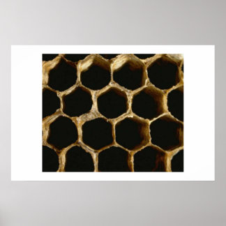 Póster Honeycomb