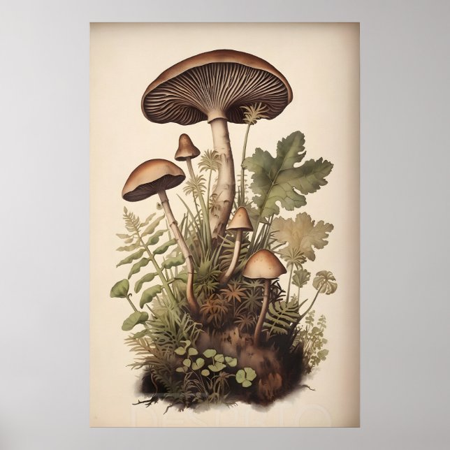 Póster Hongos Botánicos En Helecho De Musgo, Boho Bosque (Frente)