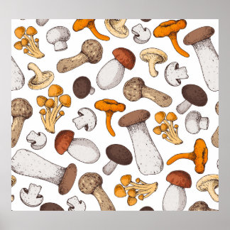 Póster Hongos dibujados a mano: fondo de comida.