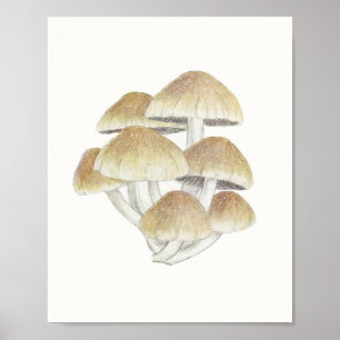 Póster Hongos hongos hongos de hongos de hongos de hongos
