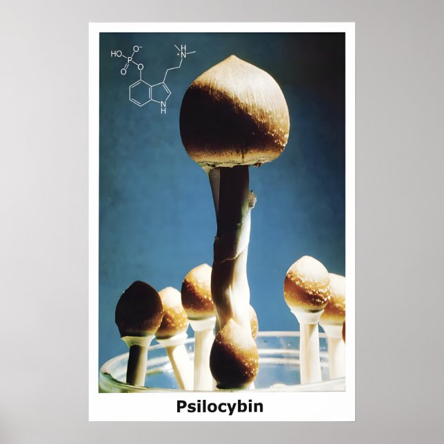 Póster Hongos Mágicos Psilocibina Fórmula Química (Frente)