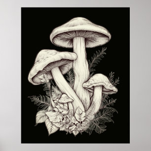 Póster Hongos Pálidos Blanquecinos Fondo Negro En una Par