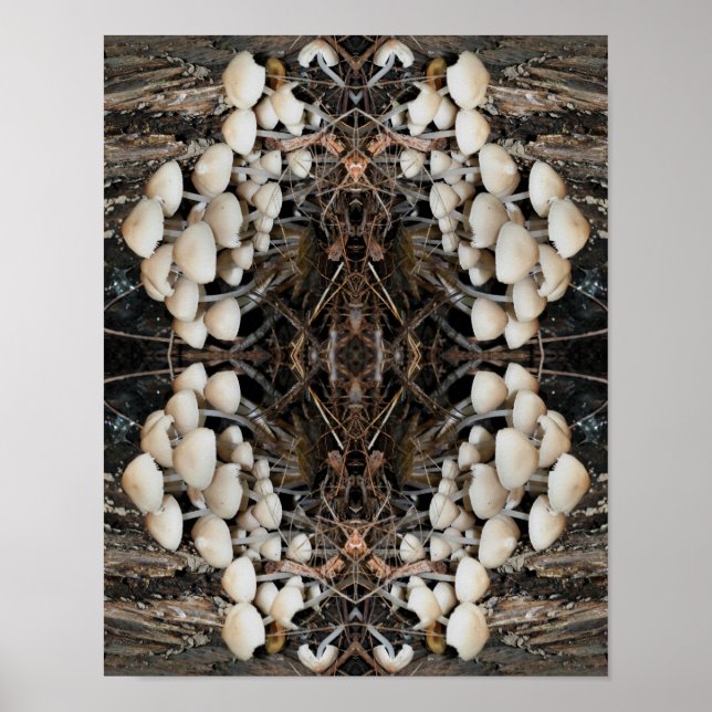 Póster Hongos salvajes blancos Naturaleza abstracta (Frente)