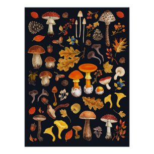 Póster Hongos salvajes en negro