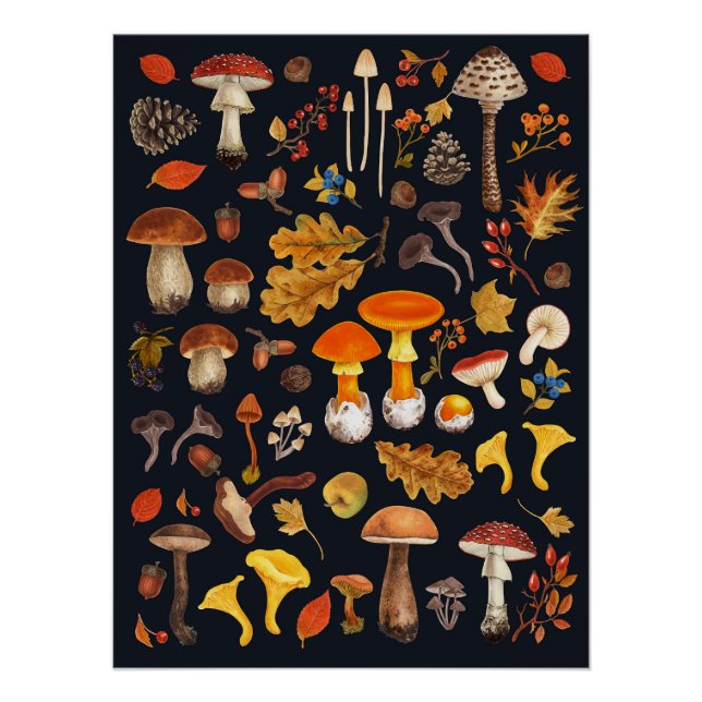 Póster Hongos salvajes en negro (Anverso)