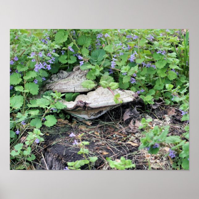Póster Hongos Secos Y Flores En Los Arboles De Árbol (Frente)