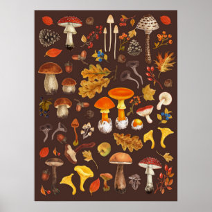 Póster Hongos silvestres en marrón