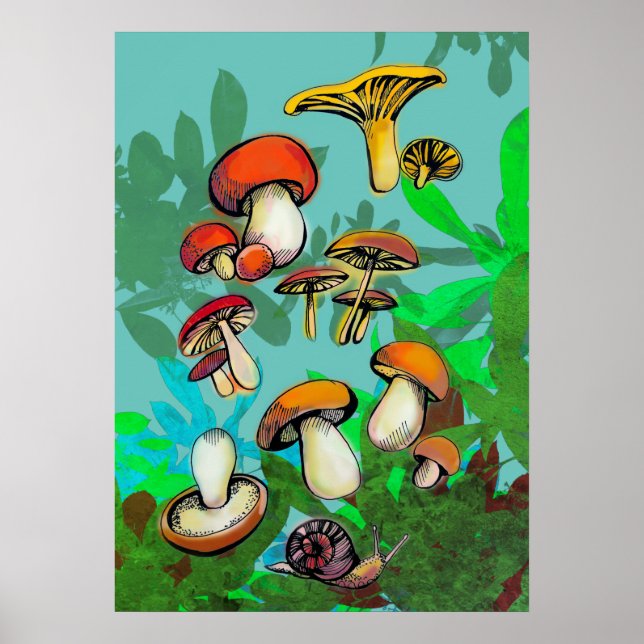 Póster hongos y caracoles (Frente)