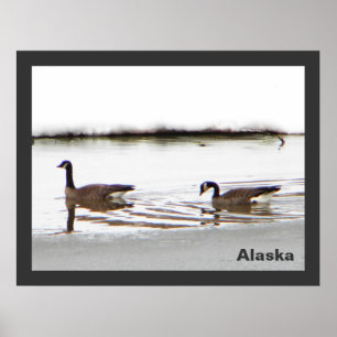 Póster Honkers - Canadá Geese