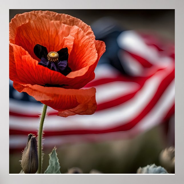 Póster Honrar a los que dieron a todos (Frente)