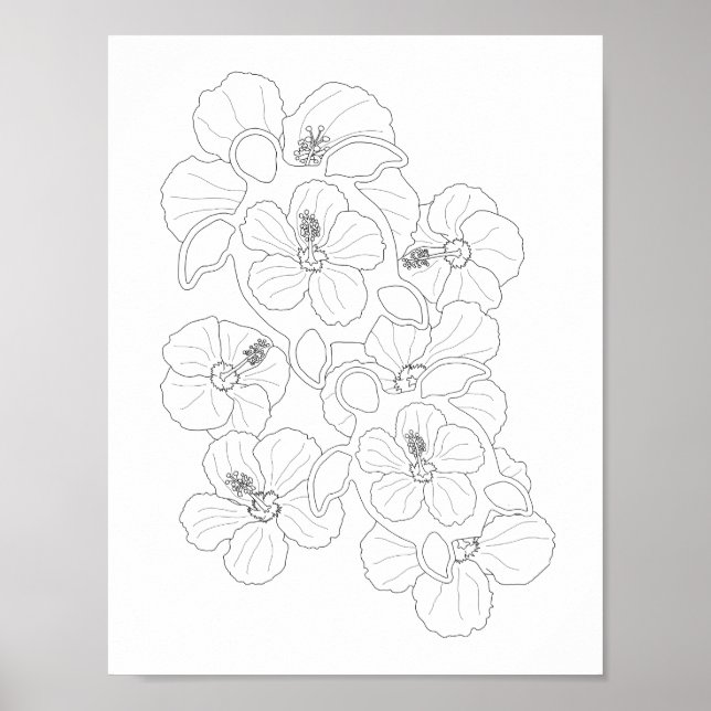 Póster Honu Turtles Poster de Coloración para Adultos (Frente)