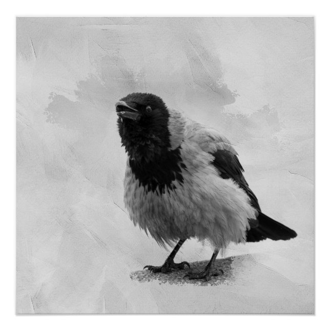 Póster Hooded Crow (Anverso)