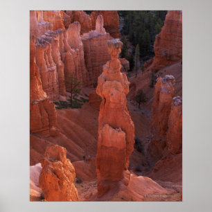 Póster Hoodoo del martillo del Thor en rastro de Navajo