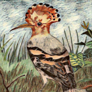 Póster Hoopoe