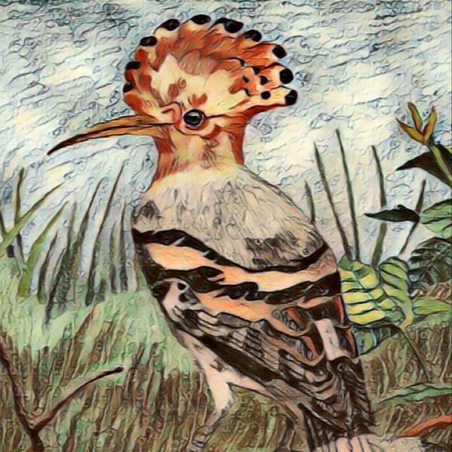 Póster Hoopoe (Subido por el creador)