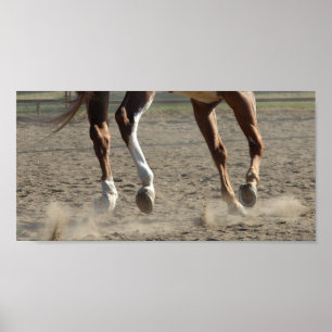 Póster Hooves en movimiento