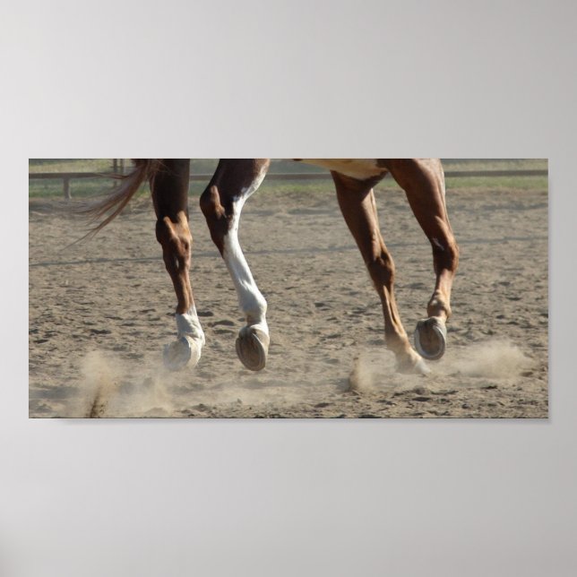 Póster Hooves en movimiento (Frente)