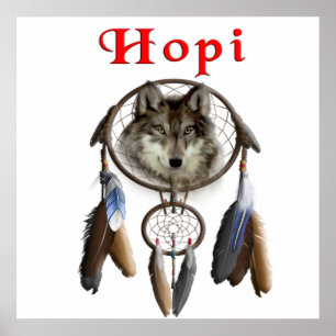 Póster Hopi Indians