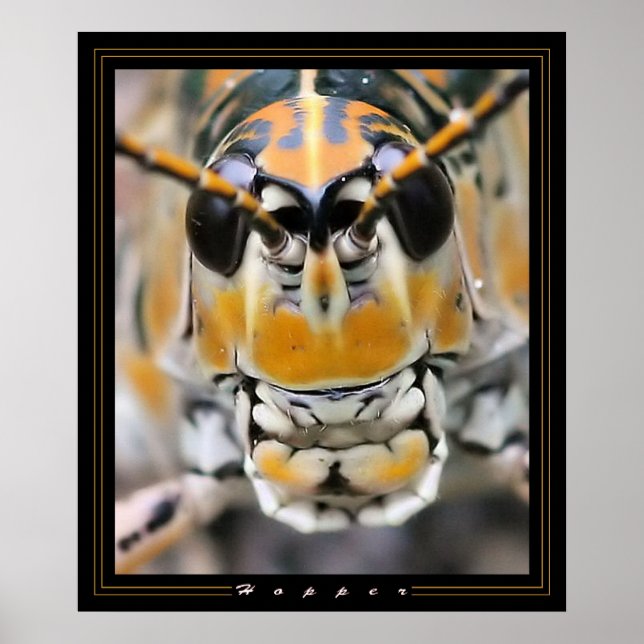 Póster Hopper (Frente)