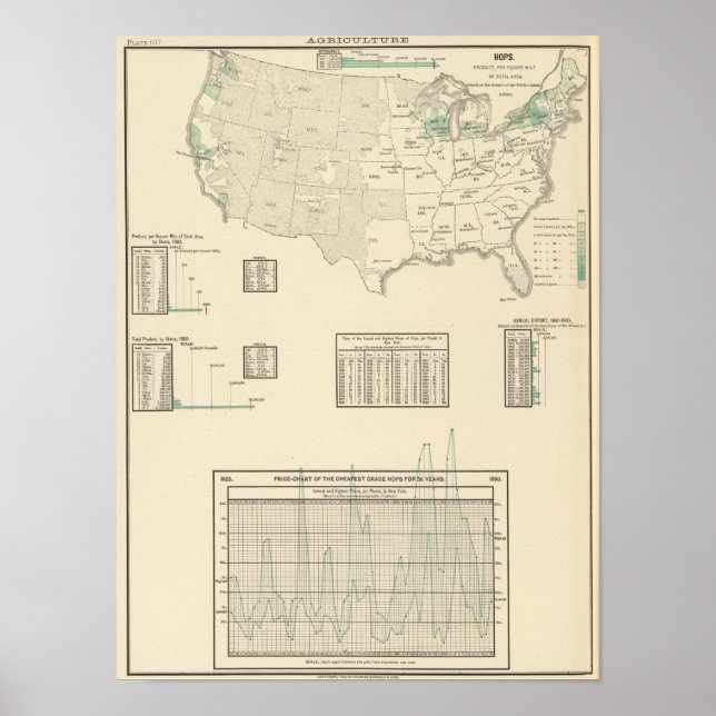 Póster Hops (Frente)