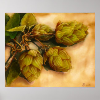 Póster Hops