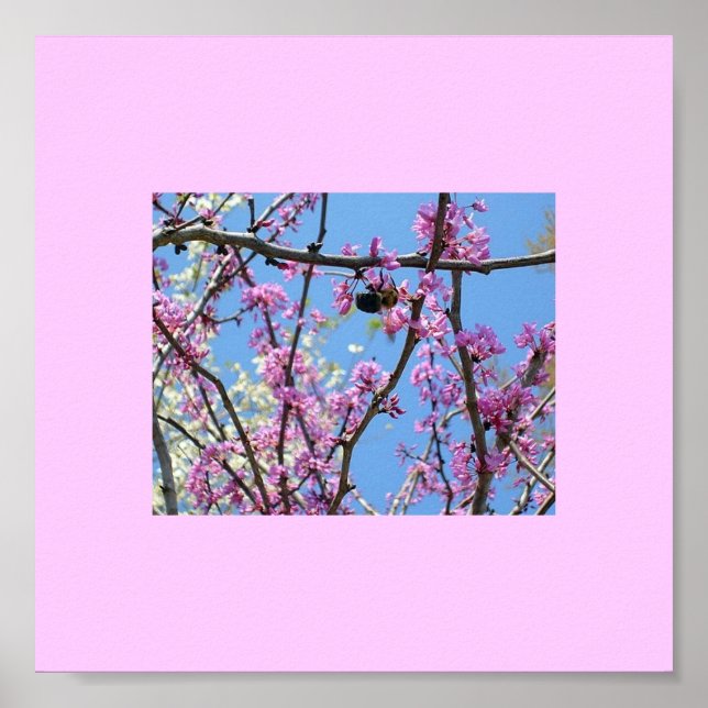 Póster Hora de primavera... (Frente)