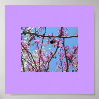 Póster Hora de primavera
