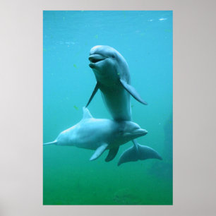 Póster Hora del recreo