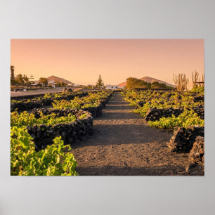 Póster Hora Dorada sobre Viñedos La Geria Lanzarote