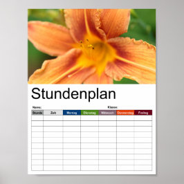 Póster Horario de naranja Asiatic Lily