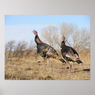 Póster Horizonte de Turquía