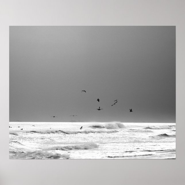 Póster Horizonte del océano blanco y negro y pelícanos ma (Frente)