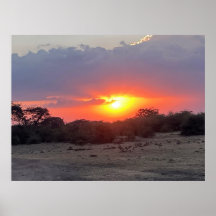 Horizonte Dorado – Atardecer de Safari Africano Im