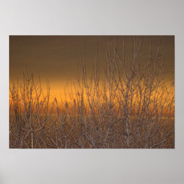 Póster Horizonte sobre el Poster del Lago Erie (Frente)