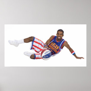 Póster Hormiga Atkinson