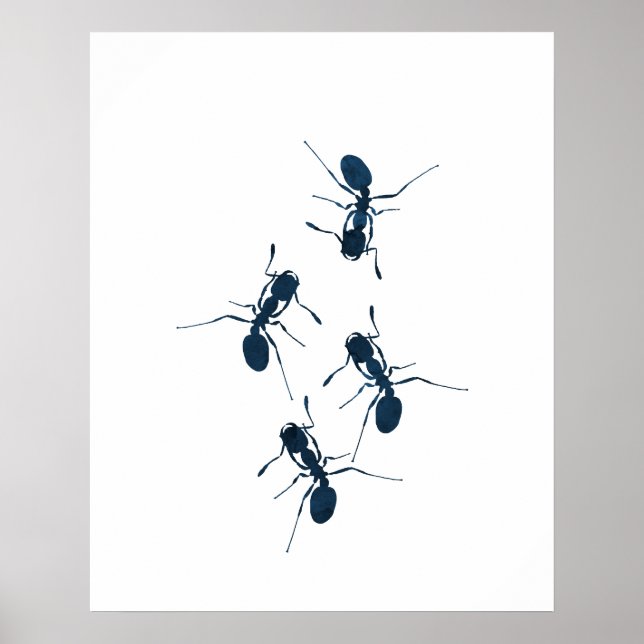 Póster Hormigas (Frente)