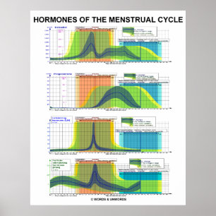Póster Hormonas De La Menstruación Del Ciclo Menstrual