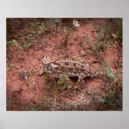 Póster Horned Lizard