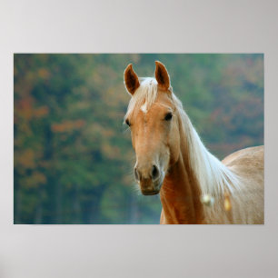 Póster Horse