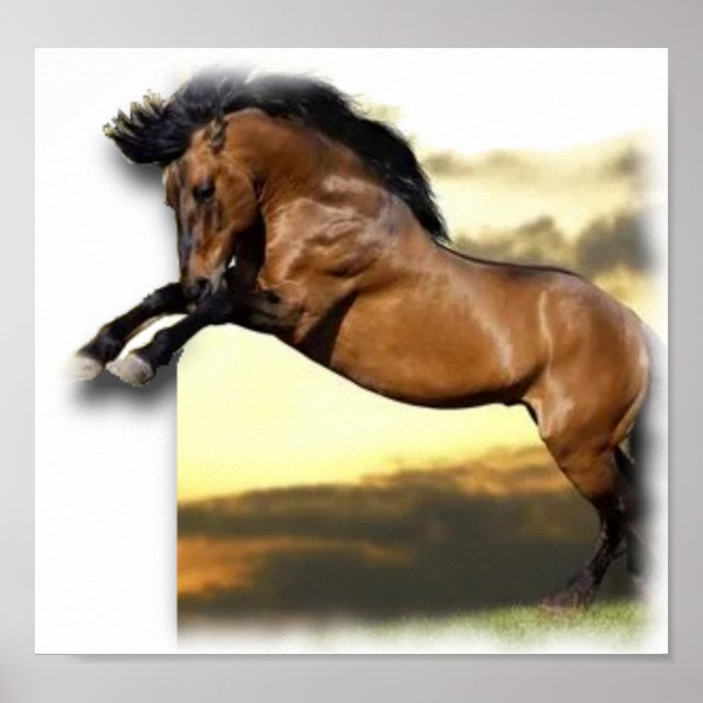 Póster Horse (Frente)