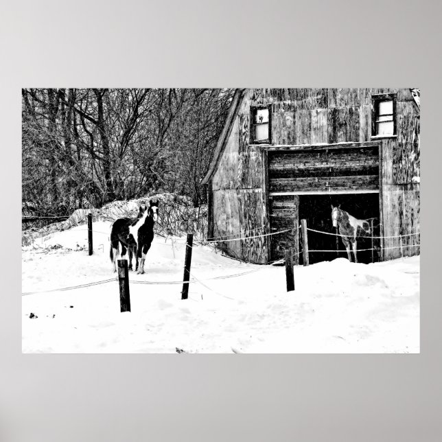 Póster Horse-Barn-BW (Frente)