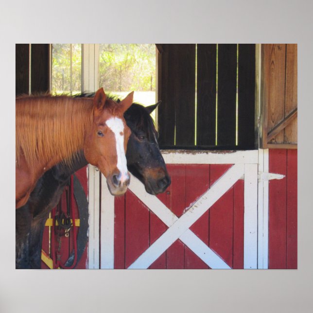 Póster Horse Barn - Farm Series - Poster (Frente)